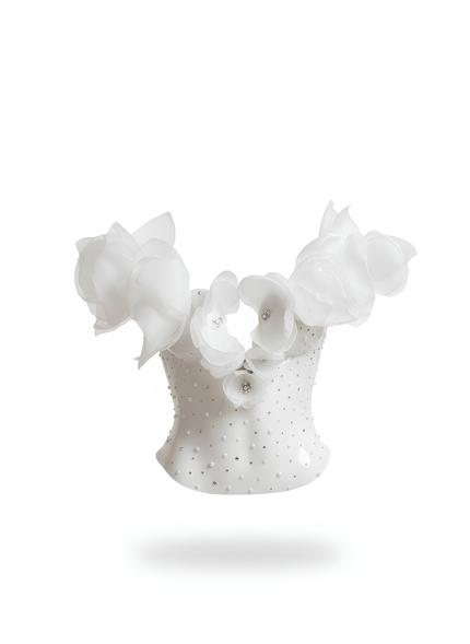 Armory: Opaline Aegis